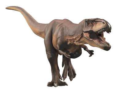 Realistic Tyrannosaurus Rex Dinosaur Model With Open Mouth And Standing Posture 3d model
