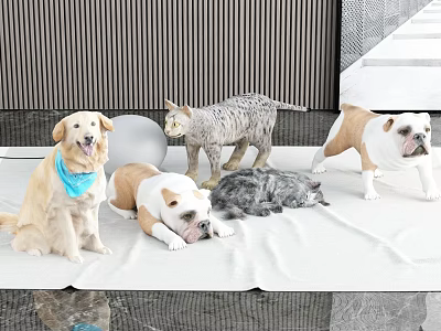 Reptile Pets On White Blanket With Striped Wall And Steps Background 3d model