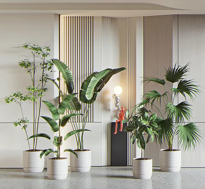 Potted Bonsai Plants With Tropical Green Leaves In White Pots For Modern Interior 3d model
