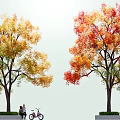 Chinese tallow tree big tree autumn and winter deciduous tree yellow tree red tree color tree main tree flowering tree point tree 3d model