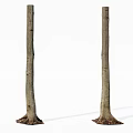 Natural Wood Logs With Stone Root Bases On White Background 3d model