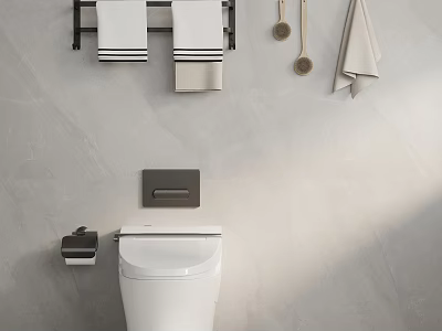 Modern Bathroom Toilet Interior With Wall Mounted Towel Rack White Towels And Toilet Brush 3d model
