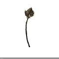 Single Isolated Dried Brown Flower With Slender Stem On White Background 3d model