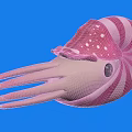 Vibrant Pink Spiral Shell Nautilus Aquatic Animal With White Spots And Black Eyes