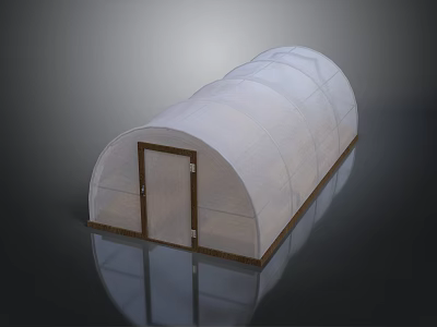 White Arch Greenhouse Structure With Transparent Cover And Wooden Door 3d model