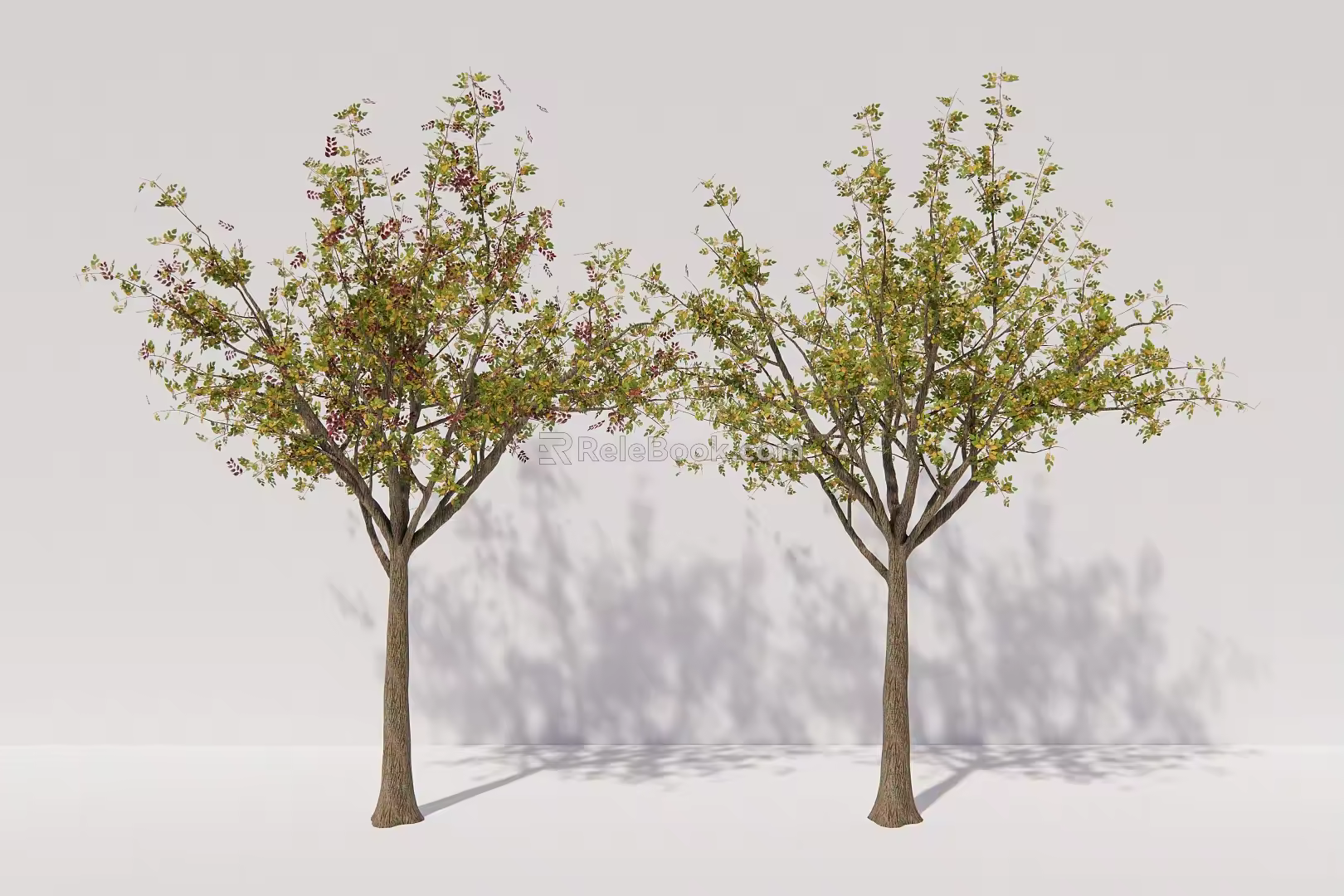 Modern Trees Beech Trees Arbor Plants 3d model