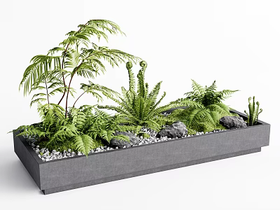 Green Container Garden With Various Ferns Succulents Small Stones And Rectangular Gray Planter 3d model