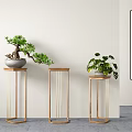 Modern Plant Stands With Wooden Top And Metal Frame Holding Potted Plants And Wall Art