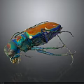 Vibrant Colorful Beetle Displaying Blue Orange Green Iridescent Shell against Dark Background