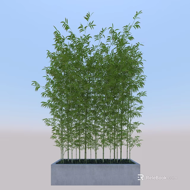 Lush Green Bamboo Plants With Tall Slender Stems And Fresh Leaves In Square Planter 3d model 