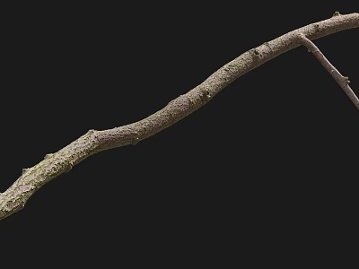 Natural Stone And Wood Branch With Rough Texture On Black Background 3d model