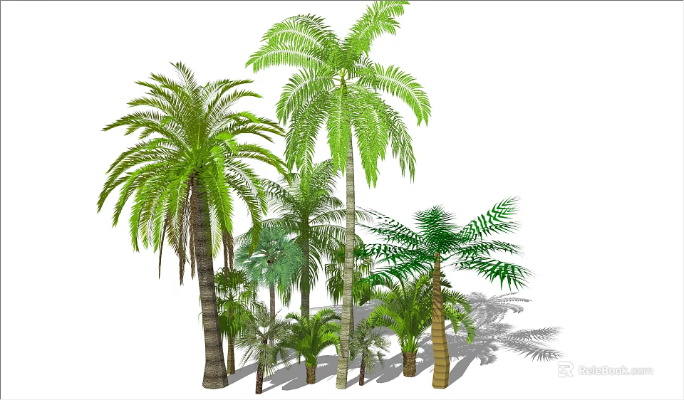 Different Types of Tropical Palm Trees with Lush Green Fronds Various Heights and Sturdy Trunks 3d model 