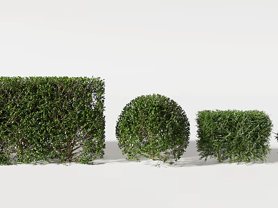 Well Trimmed Green Shrubs with Rectangular Round and Small Square Shapes in Garden 3d model