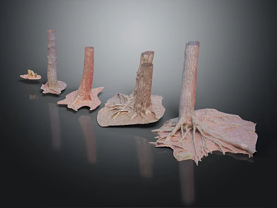 Different Shaped Wooden Pillars With Stone Bases Natural Rustic Texture Decorative Art 3d model