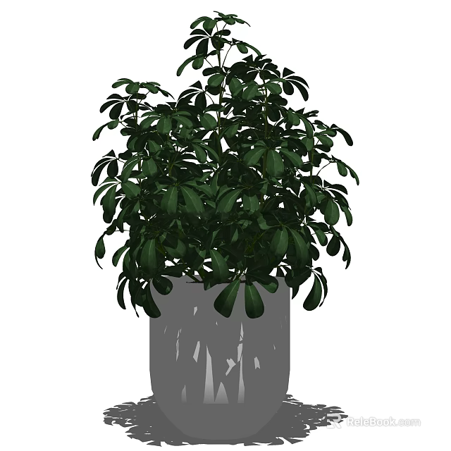 Lush Green Bonsai Potted Plant With Dense Leaves In Gray Pot 3d model 