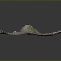 Natural Ground With Mossy Rock Small Plants Soil And Pebbles