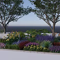 Vibrant Flowers And Various Plants In Seaside Garden With Tall Trees And Ocean View