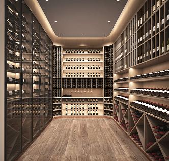 Modern Wine Cellar 3d model