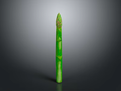 Fresh Green Asparagus Spear With Tender Tips And Crisp Texture 3d model