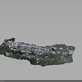 Wood Stone with Green Moss White Spots and Natural Texture on Black Background