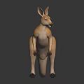Detailed Brown Kangaroo Standing on Dark Surface with Reflection and Clear Fur Details