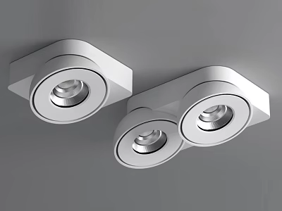 Modern White Downlights And Spotlights With Single Double Head Ceiling Design 3d model
