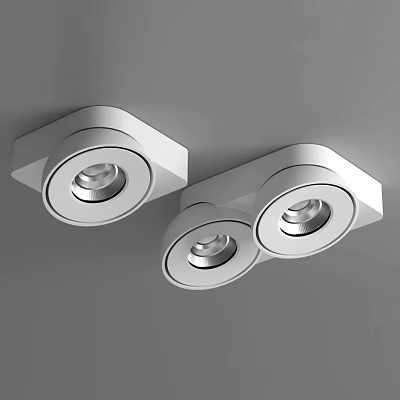 Modern White Downlights And Spotlights With Single Double Head Ceiling Design 3d model