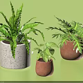 Three Bonsai Potted Plants with Concrete Terracotta Pots and Green Foliage on Light Green Background