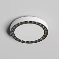Modern Round Ceiling Light With White Central Panel And Decorative Dark Trim Design 3d model