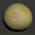 Fresh Ripe Yellow And Green Melon With Net Like Texture On Black Surface