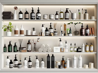 Daily Washing Essentials Displayed On Shelves With Bottles Jars Towels And Green Plants 3d model