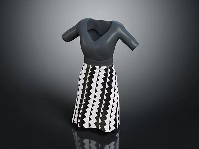 Modern Short Sleeved V Neck Top with Black and White Geometric Pattern Skirt Design 3d model