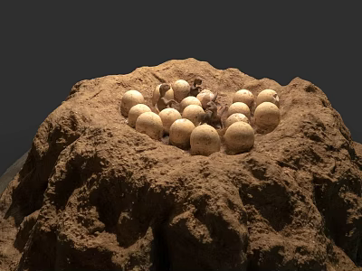 Natural Animal Nest With Multiple White Eggs In Rough Dirt Mound 3d model