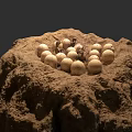 Natural Animal Nest With Multiple White Eggs In Rough Dirt Mound