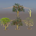 Decorative String Lights Decorating Outdoor Trees with Hanging Lamps and Evening Sky