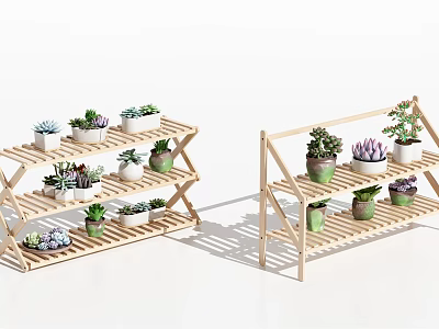 Colorful Succulent Plants Arranged on Multi tiered Bamboo Shelves Indoors 3d model