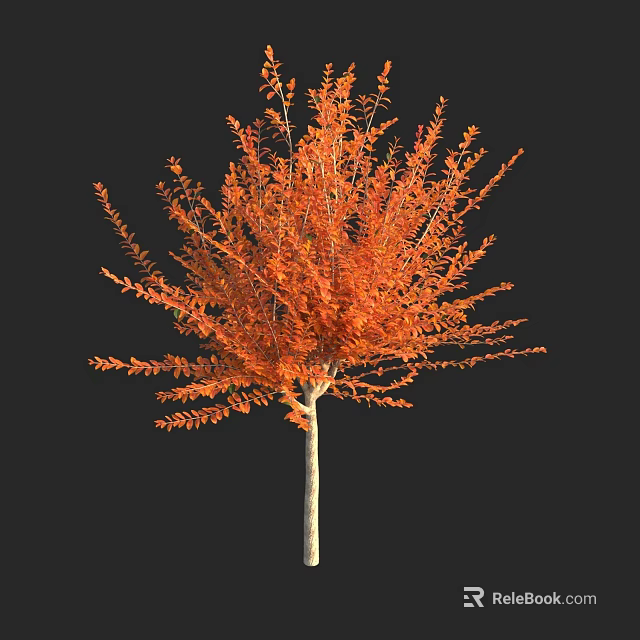 Vibrant Orange Leaf Arbor With Slender Trunk And Lush Foliage 3d model