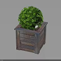 Vibrant Green Round Plant Planted In Wooden Box Planter With Lush Leaves