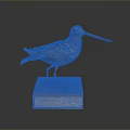 Taxidermy Bird Specimen Standing on Wooden Base With Labeled Plaque