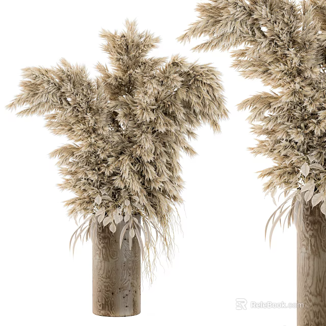 Dried Pampas Grass Flowers in Wooden Vases for Natural Home Decor Accent 3d model 