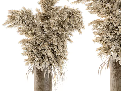 Dried Pampas Grass Flowers in Wooden Vases for Natural Home Decor Accent 3d model