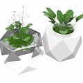Transparent And White Geometric Planters With Green Plants And Purple Flowers