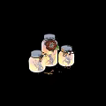 Illuminated Mason Jar Lanterns With Fairy Silhouettes Decorative Flowers And Green Leaves