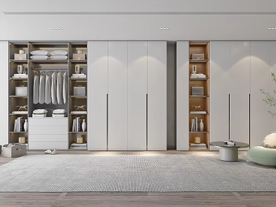 Modern Wardrobe Interior Design With Storage Shelf Hanging Rod Cabinet Drawer 3d model