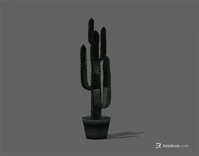Tall Green Cactus Potted Plant in Gray Pot for Indoor Decoration 3d model 