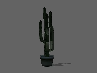 Tall Green Cactus Potted Plant in Gray Pot for Indoor Decoration 3d model
