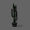 Tall Green Cactus Potted Plant in Gray Pot for Indoor Decoration
