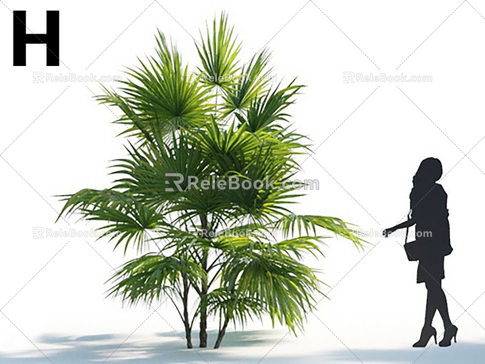 modern palm tree joan brown tropical plant 3d model