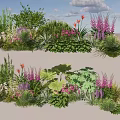 Diverse Colorful Plant Combinations With Herbs Flowers Ferns And Varied Leaf Shapes For Garden Landscaping