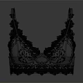 Black Lace Bra With Transparent Mesh Feminine Design Delicate Floral Patterns Adjustable Straps